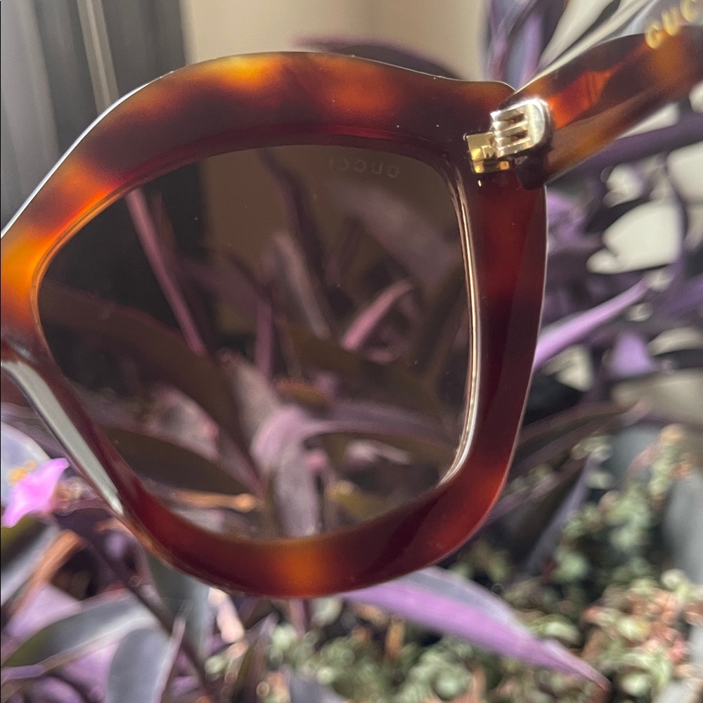 Gucci Women's Brown Oversized Cat Eye Havana Sunglasses - Picture 12 of 16